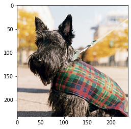 ../../../_images/2d3e34f1c986dcf37ffe59f8da312ca219a121c201becc450dad8a6c87ec621d.png